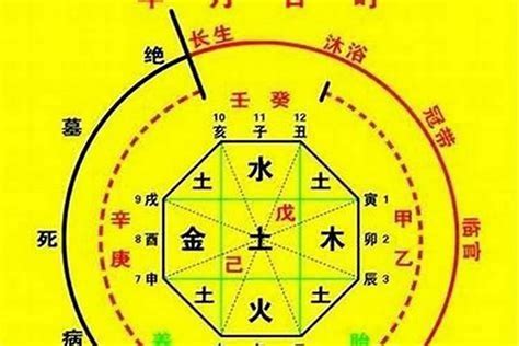 八字點睇|生辰八字算命、五行喜用神查詢（免費測算）